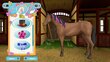 Nintendo Switch peli Bibi & Tina at the Horse Farm hinta ja tiedot | Tietokone- ja konsolipelit | hobbyhall.fi