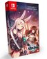 Nintendo Switch peli Azur Lane: Crosswave - Commanders Calendar Edition hinta ja tiedot | Tietokone- ja konsolipelit | hobbyhall.fi