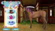 PlayStation 4 peli Bibi & Tina at the Horse Farm hinta ja tiedot | Tietokone- ja konsolipelit | hobbyhall.fi