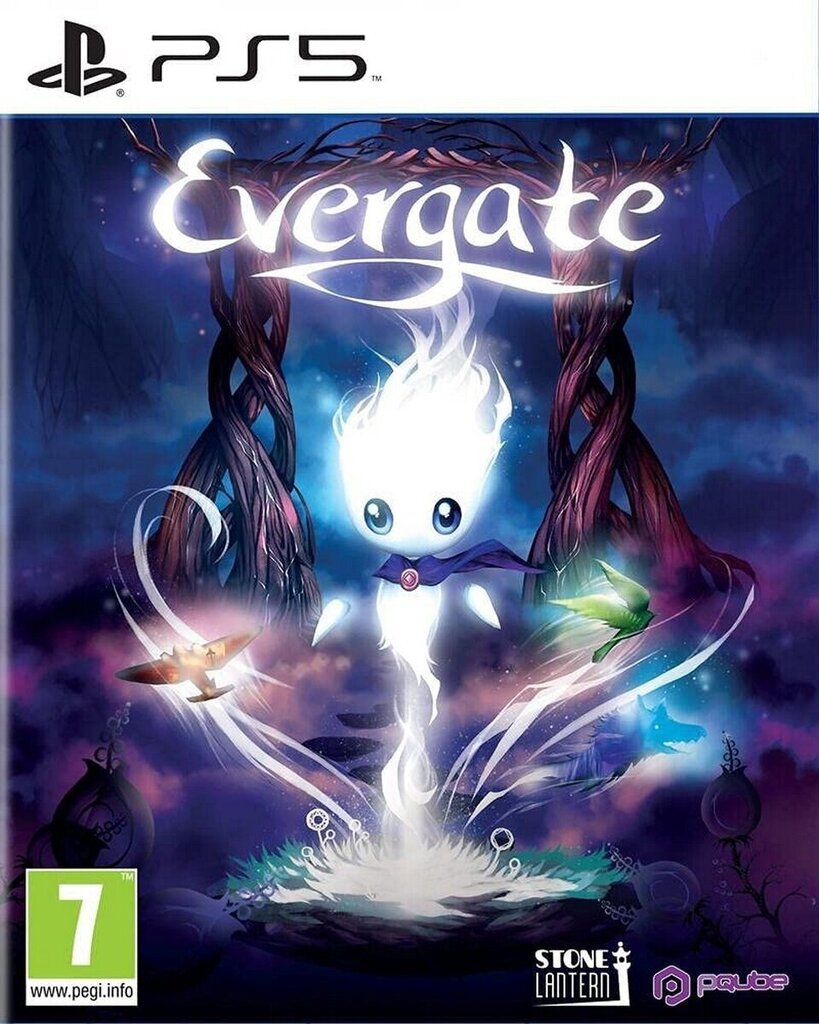 PlayStation 5 peli Evergate hinta ja tiedot | Tietokone- ja konsolipelit | hobbyhall.fi