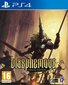 PlayStation 4 peli Blasphemous Deluxe Edition hinta ja tiedot | Tietokone- ja konsolipelit | hobbyhall.fi