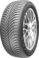 Maxxis AP3 205/55R17 95 V XL hinta ja tiedot | Ympärivuotiset renkaat | hobbyhall.fi