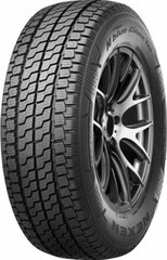 Nexen N'blue 4 Season Van 195/75R16C 110 R hinta ja tiedot | Ympärivuotiset renkaat | hobbyhall.fi