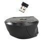 Langaton hiiri VIVANCO USB Wireless 1600 dpi hinta ja tiedot | Tietokone- ja konsolipelit | hobbyhall.fi