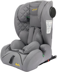 Auton istuin Summer Baby Molto i-Size Isofix, 9-36 kg, Harmaa hinta ja tiedot | Turvaistuimet | hobbyhall.fi