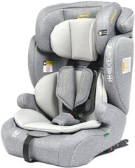 Auton istuin Summer Baby Porto i-Size Isofix, 9-36 kg, Harmaa hinta ja tiedot | Turvaistuimet | hobbyhall.fi