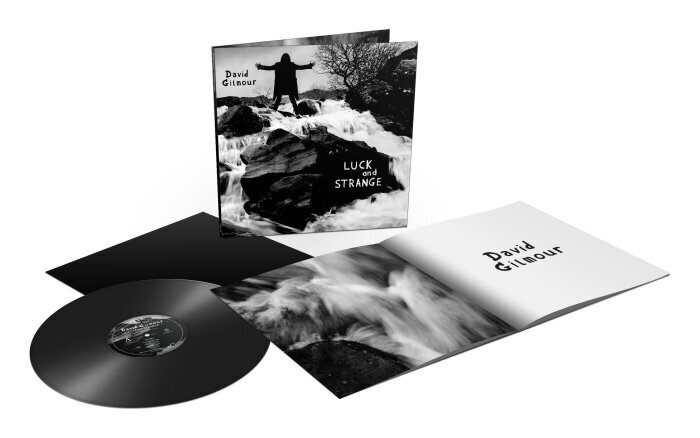 LP DAVID GILMOUR Luck And Strange Vinyylilevy hinta ja tiedot | Vinyylilevyt, CD-levyt, DVD-levyt | hobbyhall.fi