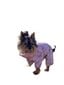 Zoomoda Plaid Dog Jumpsuit, vaaleanpunainen, eri kokoja hinta ja tiedot | Koiran vaatteet | hobbyhall.fi