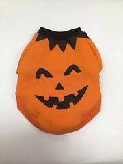 Neulepaita "Pumpkin" hinta ja tiedot | Zoomoda Koirat | hobbyhall.fi