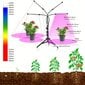 'USB Fytopilvi Täysi Spektri Hydroponics LED Kasvatus Vihreä Kasvi Lamppu' hinta ja tiedot | Retkilamput | hobbyhall.fi