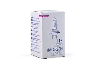 Halogeenipolttimo M-Tech H7 12V. hinta ja tiedot | Polttimot | hobbyhall.fi