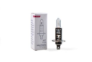 Halogeenipolttimo M Tech H1 12V hinta ja tiedot | Polttimot | hobbyhall.fi