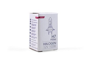 Halogeenipolttimo M-Tech H7 12V. hinta ja tiedot | Polttimot | hobbyhall.fi