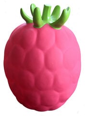 Jumpy Fruits -pomppupallo, Vadelma hinta ja tiedot | Gerardo's toys Lapset | hobbyhall.fi
