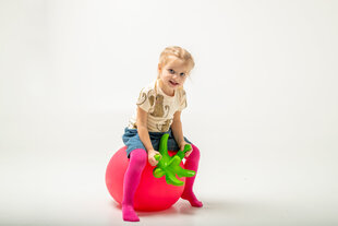 Jumpy Fruits -pomppupallo, Vadelma hinta ja tiedot | Gerardo's toys Ulkoilu | hobbyhall.fi