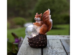 Ulkovalaisin aurinkopaneelilla Squirrel hinta ja tiedot | Puutarha- ja ulkovalot | hobbyhall.fi