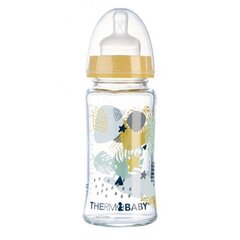 Lasipullo 230 ml Thermobaby, Anti-Colic hinta ja tiedot | Tuttipullot ja tarvikkeet | hobbyhall.fi