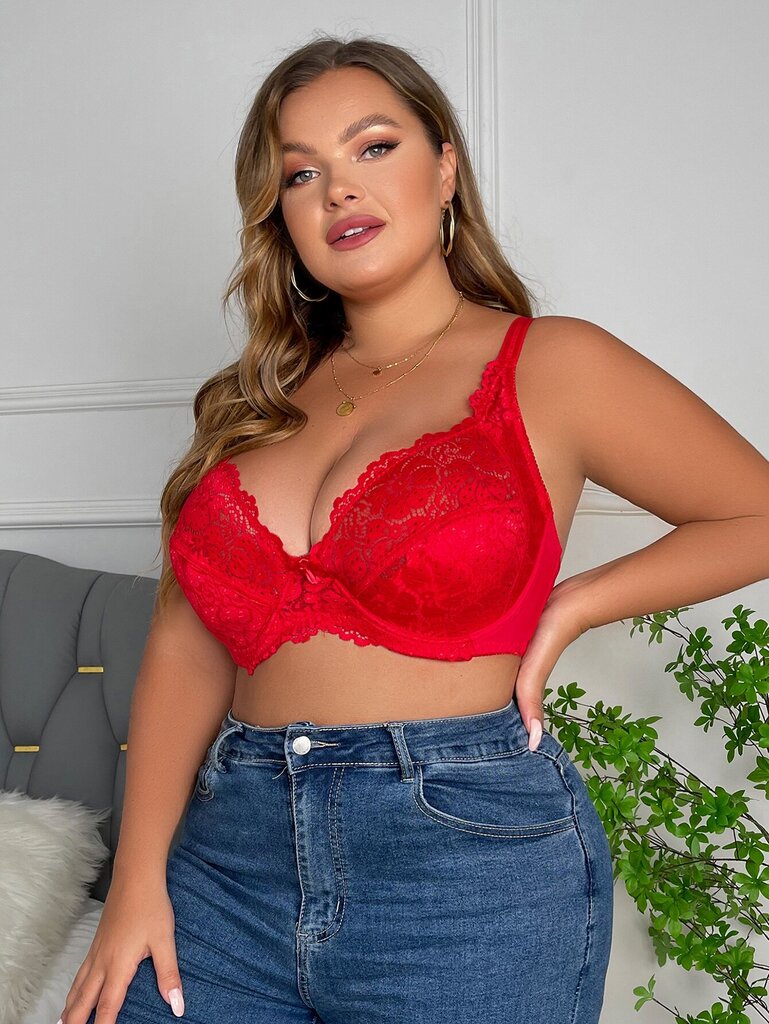 Plus Lace Panel Bow Edessä Underwire Bra·Red·95E hinta ja tiedot | Naisten aluspaidat | hobbyhall.fi