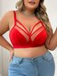 Plus Mesh Insert Cut Out Underwire Bra·Red·4XL hinta ja tiedot | Naisten aluspaidat | hobbyhall.fi