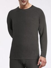 Miesten Solid Thermal Alusvaatteet Tee·Vaaleanharmaa·L hinta ja tiedot | Miesten kerrastot | hobbyhall.fi