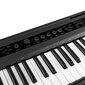 RhapsodyDP88 Digital Piano 88 Koskettimet jalustassa KBS03 hinta ja tiedot | Kosketinsoittimet | hobbyhall.fi