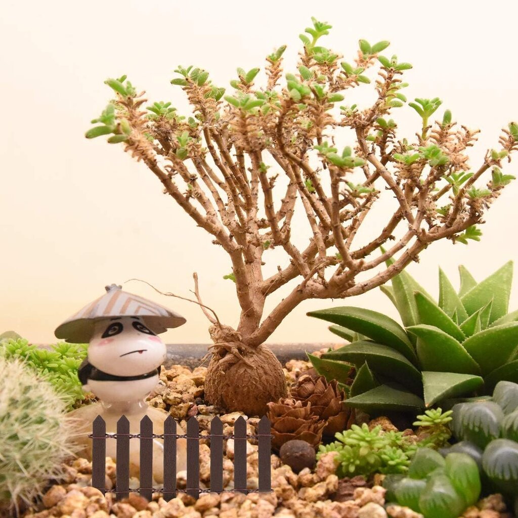 Pienoispuutarha-aita Bonsai Fairytale -puutarhakoriste (ruskea) hinta ja tiedot | Puutarhatyökalut | hobbyhall.fi