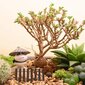 Pienoispuutarha-aita Bonsai Fairytale -puutarhakoriste (ruskea) hinta ja tiedot | Puutarhatyökalut | hobbyhall.fi