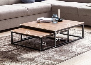 Sohvapöydät Akola, 2 hinta ja tiedot | Sohvapöydät | hobbyhall.fi