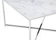 Sohvapöytä SalesFever Laud, valkoinen/hopea hinta ja tiedot | Sohvapöydät | hobbyhall.fi