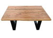 Sohvapöytä Tische 120x80 cm hinta ja tiedot | Sohvapöydät | hobbyhall.fi