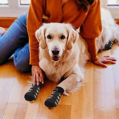 Liukumattomat koirasukat koirille 2 paria pehmeät, säädettävät Paw Guard koirankahvasukat, joissa on pitosäädin hinta ja tiedot | Koiran vaatteet | hobbyhall.fi