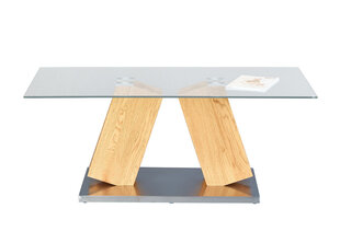 Sohvapöytä Onan 110x60 cm hinta ja tiedot | Sohvapöydät | hobbyhall.fi