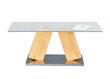 Sohvapöytä Onan 110x60 cm hinta ja tiedot | Sohvapöydät | hobbyhall.fi
