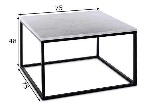 Sohvapöytä This 75x75 cm hinta ja tiedot | Sohvapöydät | hobbyhall.fi