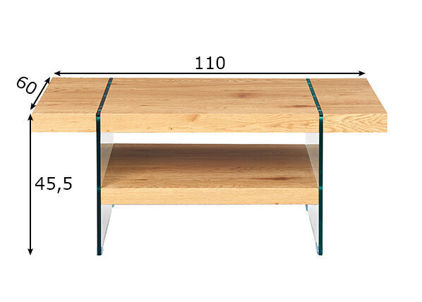 Sohvapöytä Benina 110x60 cm hinta ja tiedot | Sohvapöydät | hobbyhall.fi