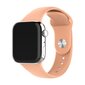 L?mplig f?r Applewatch silikonrem 38/40/41mm rem hinta ja tiedot | Älykellojen ja aktiivisuusrannekkeiden lisätarvikkeet | hobbyhall.fi