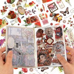 Scrapbooking Tarrat vintage moon leikekirjatarrat 177 kpl PET läpinäkyvä koriste itseliimautuva hinta ja tiedot | Koristeet ja tarrat | hobbyhall.fi