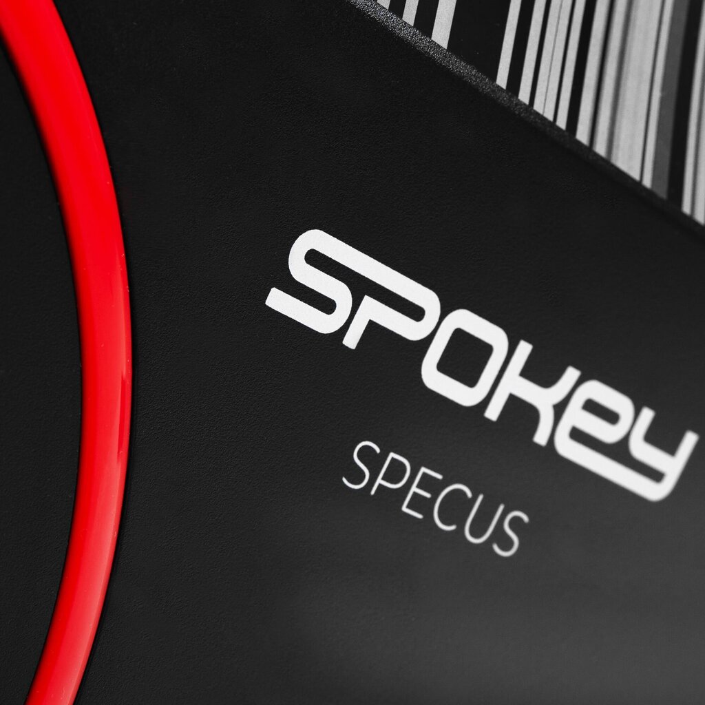 Kuntopyörä Spokey Specus + kaupan päälle käsipainot, 2 x 5 kg hinta ja tiedot | Kuntopyörät | hobbyhall.fi