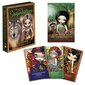 Oracle Cards Tarot-kortit aikuisille lapsille hinta ja tiedot | Lautapelit ja älypelit | hobbyhall.fi