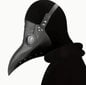 Halloween Steampunk Plague Doctor Bird Mask, 3 osaa hinta ja tiedot | Naamiaisasut | hobbyhall.fi