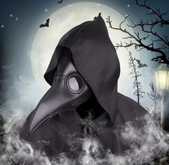 Halloween Steampunk Plague Doctor Bird Mask, 3 osaa hinta ja tiedot | Naamiaisasut | hobbyhall.fi