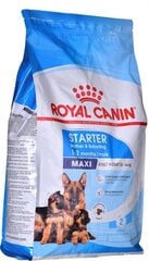 Royal Canin Maxi Starter didelių veislių gimdyvėms kalytėms ir jauniems šuniukams, 4 kg hinta ja tiedot | Koiran kuivaruoka | hobbyhall.fi