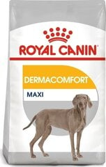 Royal Canin ccn maxi dermacomfort kuivaruoka aikuisille isokokoisille koirille, 3 kg hinta ja tiedot | Koiran kuivaruoka | hobbyhall.fi