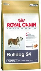 Royal Canin Size French Bulldog Prnacūzų buldogų veislių šunims, 3 kg hinta ja tiedot | Koiran kuivaruoka | hobbyhall.fi