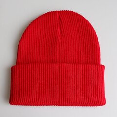 (One Size01) Uusi yksivärinen neulottu Unisex Skullies -pipot Pidä lämpimänä Rento muoti Elastisuus Poimuttava talvihattu Ski Cap hinta ja tiedot | Naisten päähineet | hobbyhall.fi