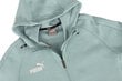 Puma collegepaita miesten joukkue Final Casuals Hooded Jkt 657383 34, sininen hinta ja tiedot | Miesten puserot ja hupparit | hobbyhall.fi