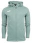 Puma collegepaita miesten joukkue Final Casuals Hooded Jkt 657383 34, sininen hinta ja tiedot | Miesten puserot ja hupparit | hobbyhall.fi