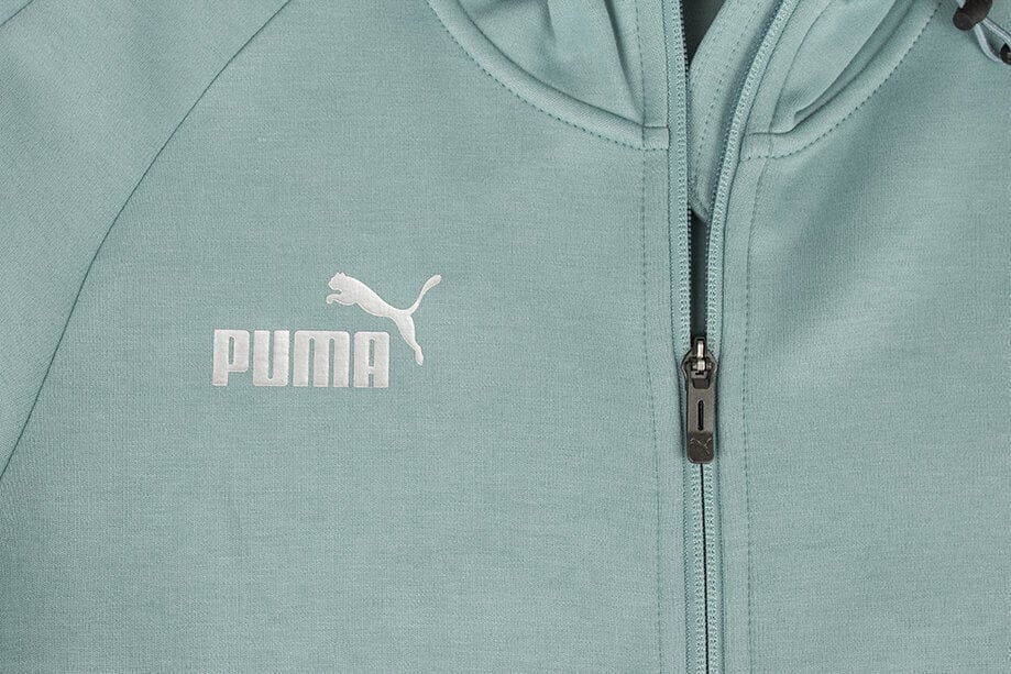 Puma collegepaita miesten joukkue Final Casuals Hooded Jkt 657383 34, sininen hinta ja tiedot | Miesten puserot ja hupparit | hobbyhall.fi