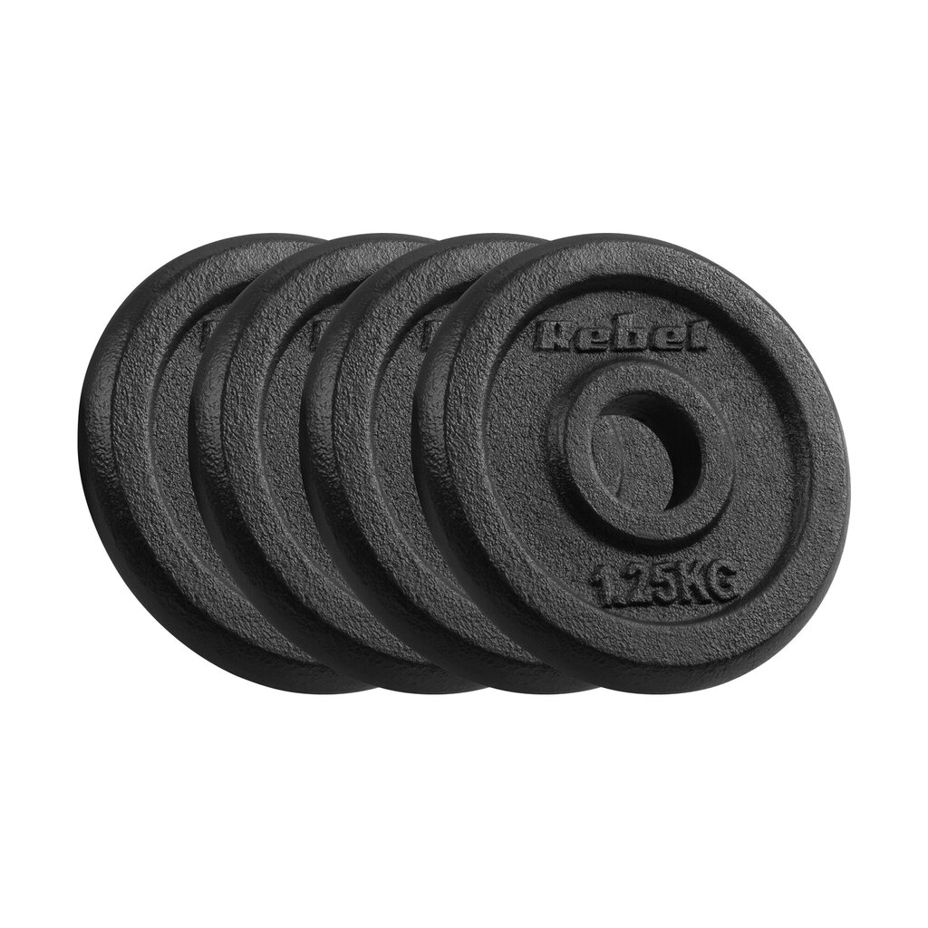 Valurautainen painosarja 4x1.25kg, 31mm reikä, klassinen levy hinta ja tiedot | Muut urheiluvälineet | hobbyhall.fi