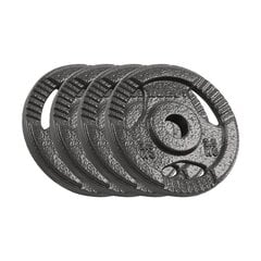 Valurautainen painosarja Rebel Active 4x2.5kg, 31mm reikä, kahvoilla hinta ja tiedot | Muut urheiluvälineet | hobbyhall.fi